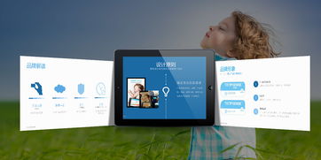 包裝設(shè)計(jì)與網(wǎng)頁及網(wǎng)站設(shè)計(jì) 創(chuàng)新與融合的藝術(shù)